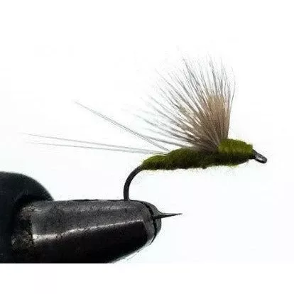 Freestone Fly Compara Dun Olive Size 14 Qty 12