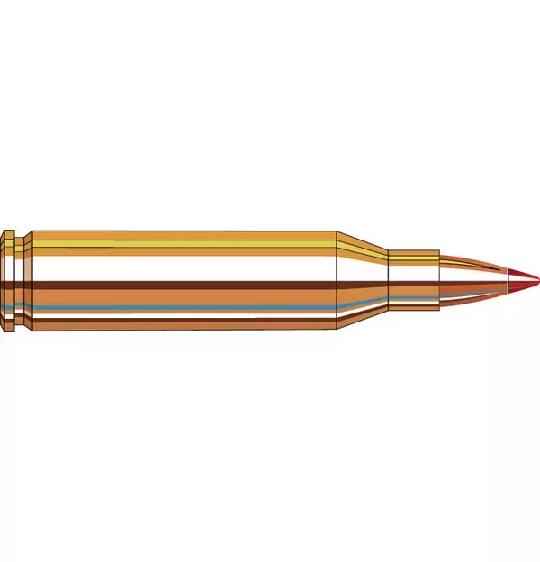 Hornady Superformance Varmint 243 WIN V-MAX