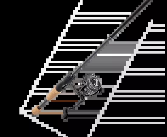 Lews Speed Spin Spinning Combo