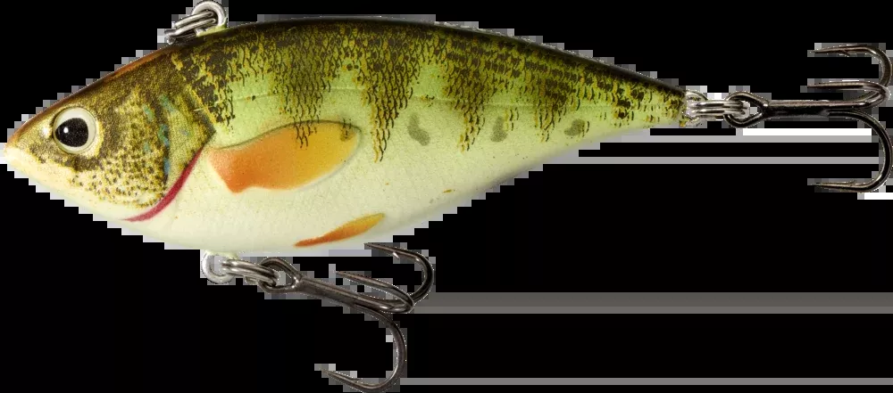 Live Target Yellow Perch Rattlebait
