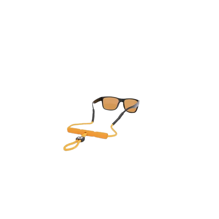 Optic Nerve Floater Buoy Retainer