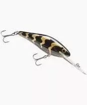 Salmo Executor Super Deep Runner Crankbait