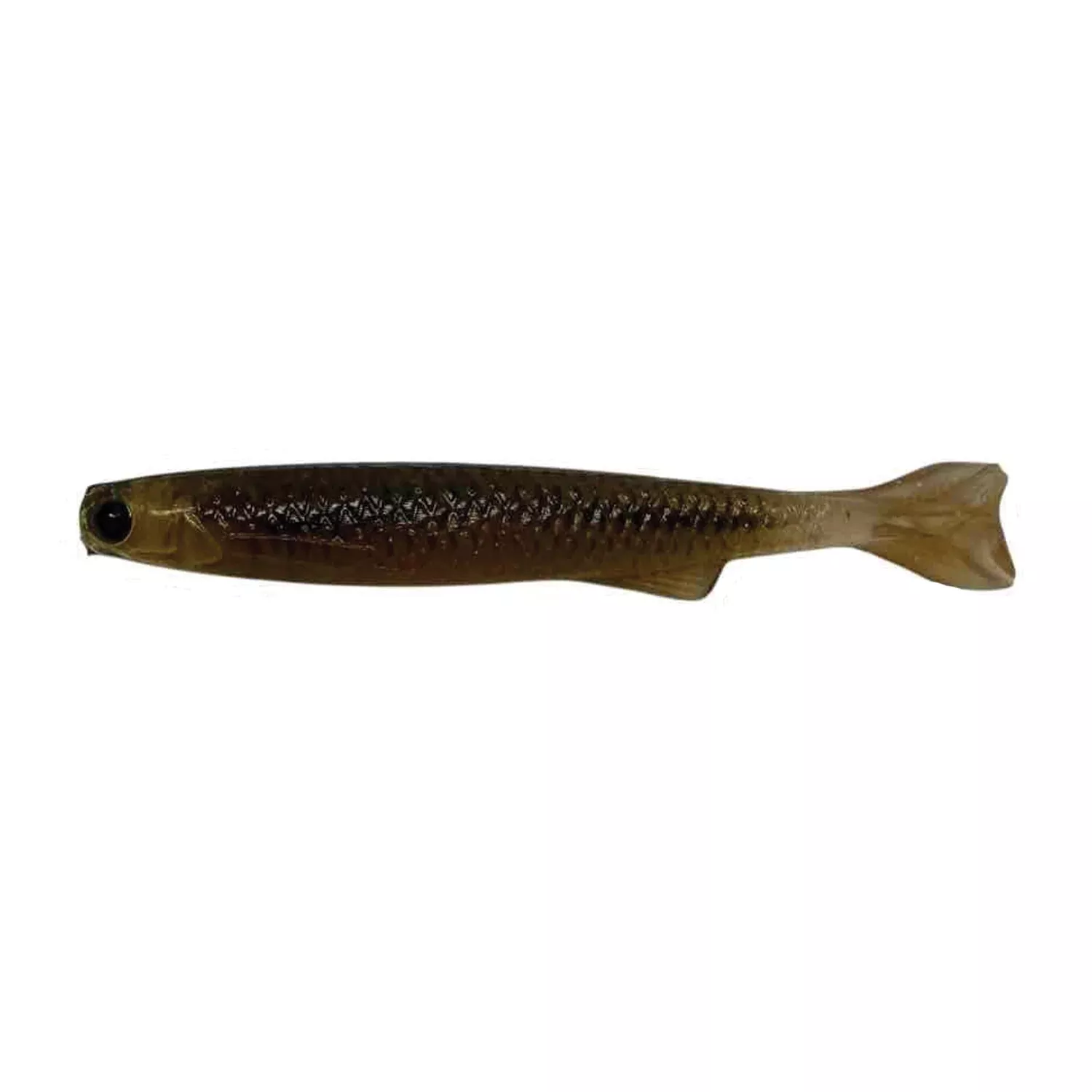 YG.Labo Micro Dorvus